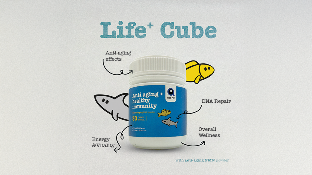 Alfa Pet Life+ NMN Chews for Canine Health